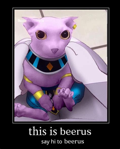 beerus meme|beerus meme generator.